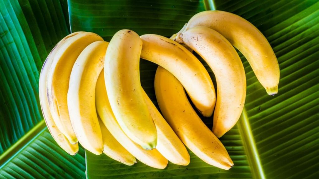 الموز من أكلات تمنح الطاقة للجسم