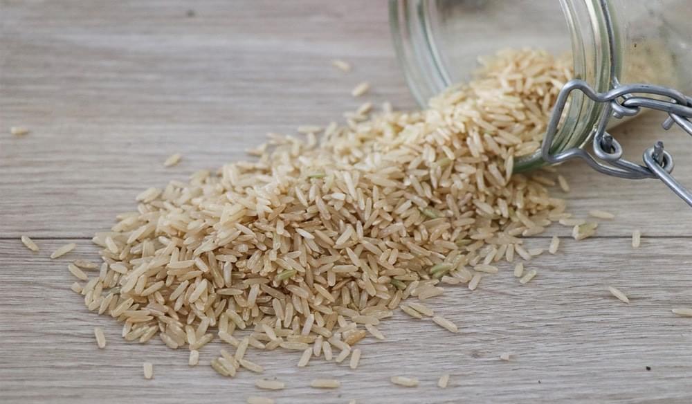 بروتين الأرز البني
