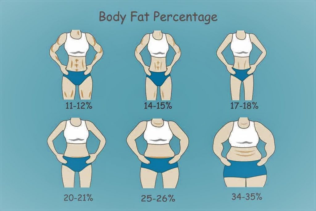 نسبة الدهون الطبيعية في جسم المرأة حسب الشكل والعمر