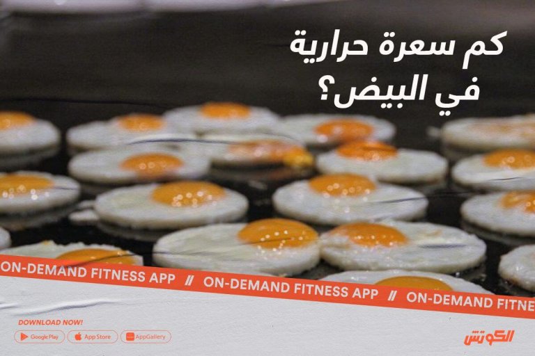 كم سعرة حرارية في البيض - ElCoach - الكوتش