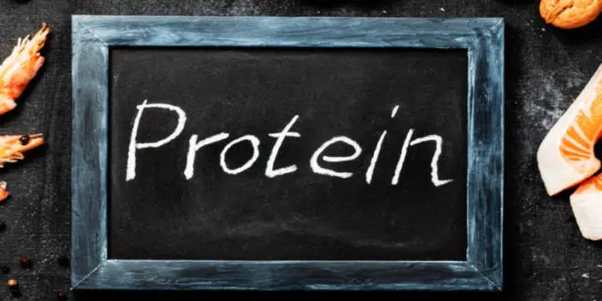انواع البروتين