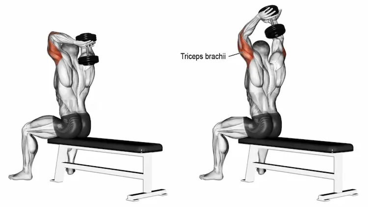 Overhead Triceps Extension