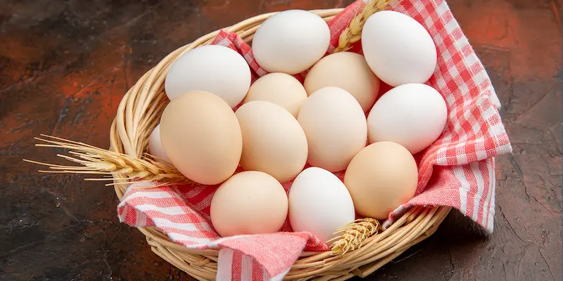 البروتين في البيض