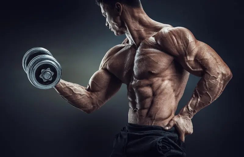 كيفية بناء العضلات