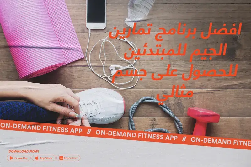 افضل برنامج تمارين الجيم